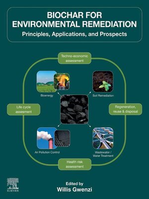 cover image of Biochar for Environmental Remediation